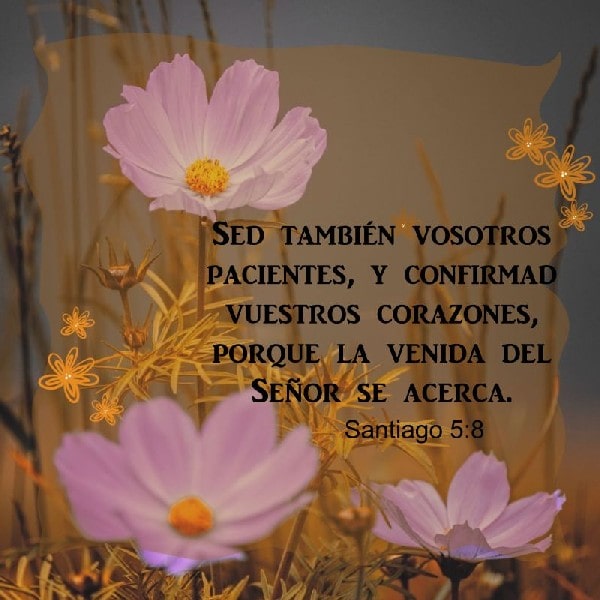 Santiago 5:8