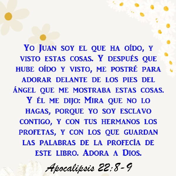 Apocalipsis 22:8-9