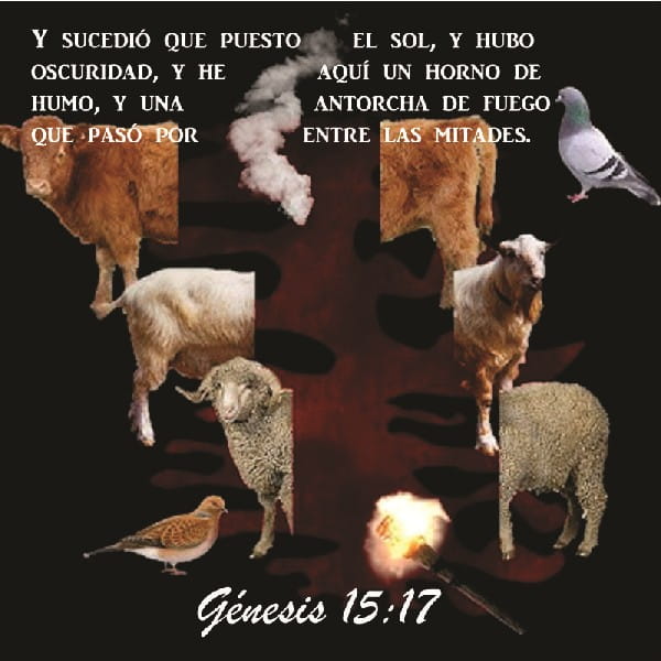Génesis 15:17