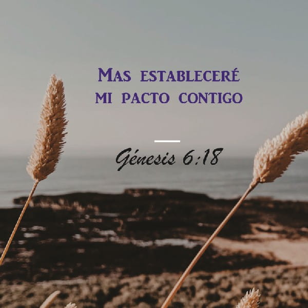 Génesis 6:17-18