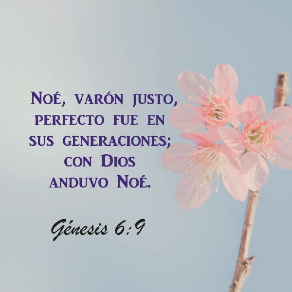 Génesis 6:9
